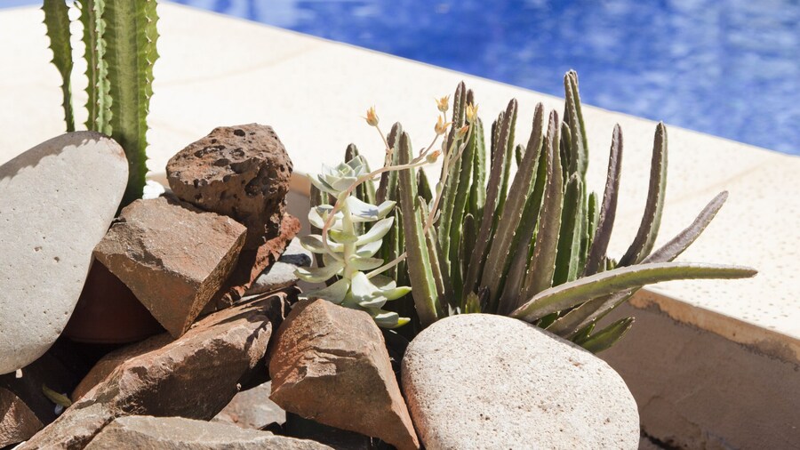 La Mision Posadas Hotel