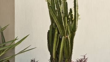 Lối vào nơi lưu trú