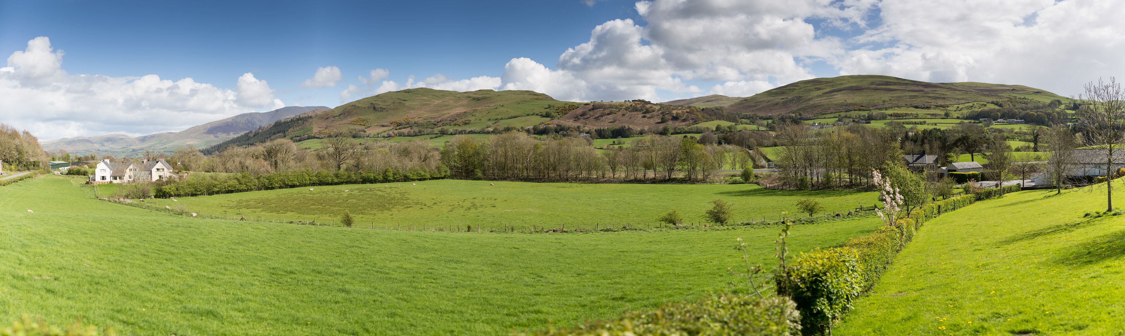 apartment, 1 bedroom | desk, blackout curtains, iron/ironing board, free cots/infant beds