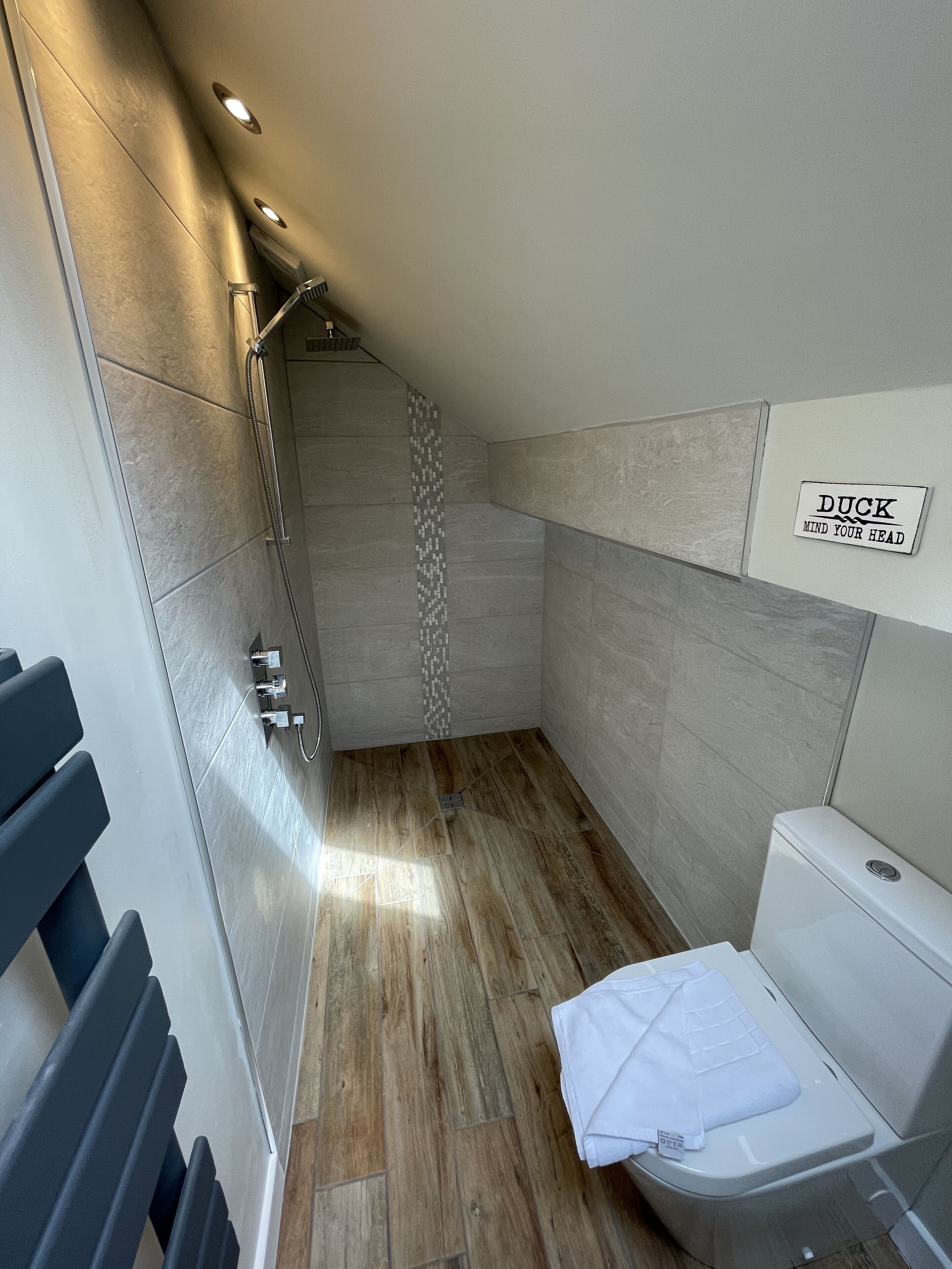 Un baño moderno con ducha, inodoro y un perchero para toallas.