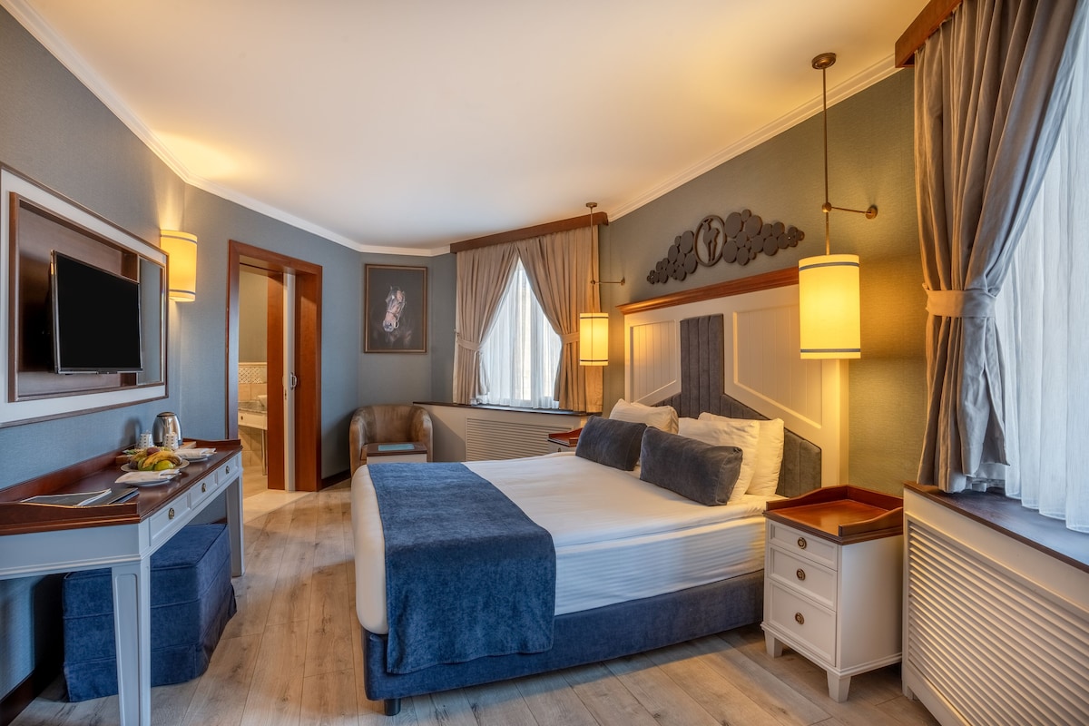 Una habitació d'hotel amb un llit gran, taules de nit, escriptori i televisió.