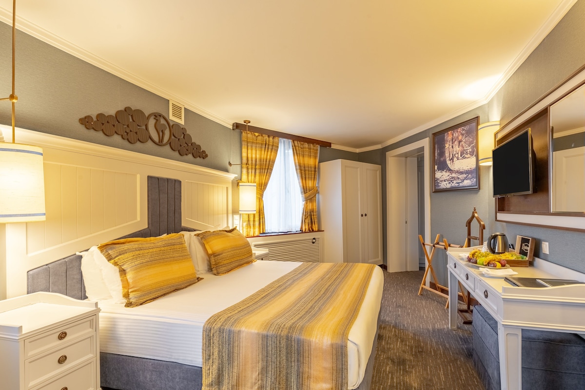 Una habitació d'hotel amb un llit gran, una taula de treball amb una cadira, una televisió i una finestra amb cortines.