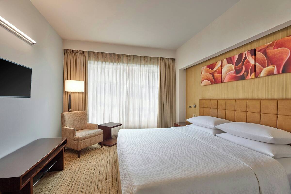 Una habitación de hotel con cama, televisión, silla, lámpara y un ventanal grande con cortinas.