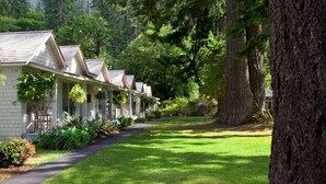 A row of white cabins with sloped roofs, surrounded by lush greenery and tall trees.