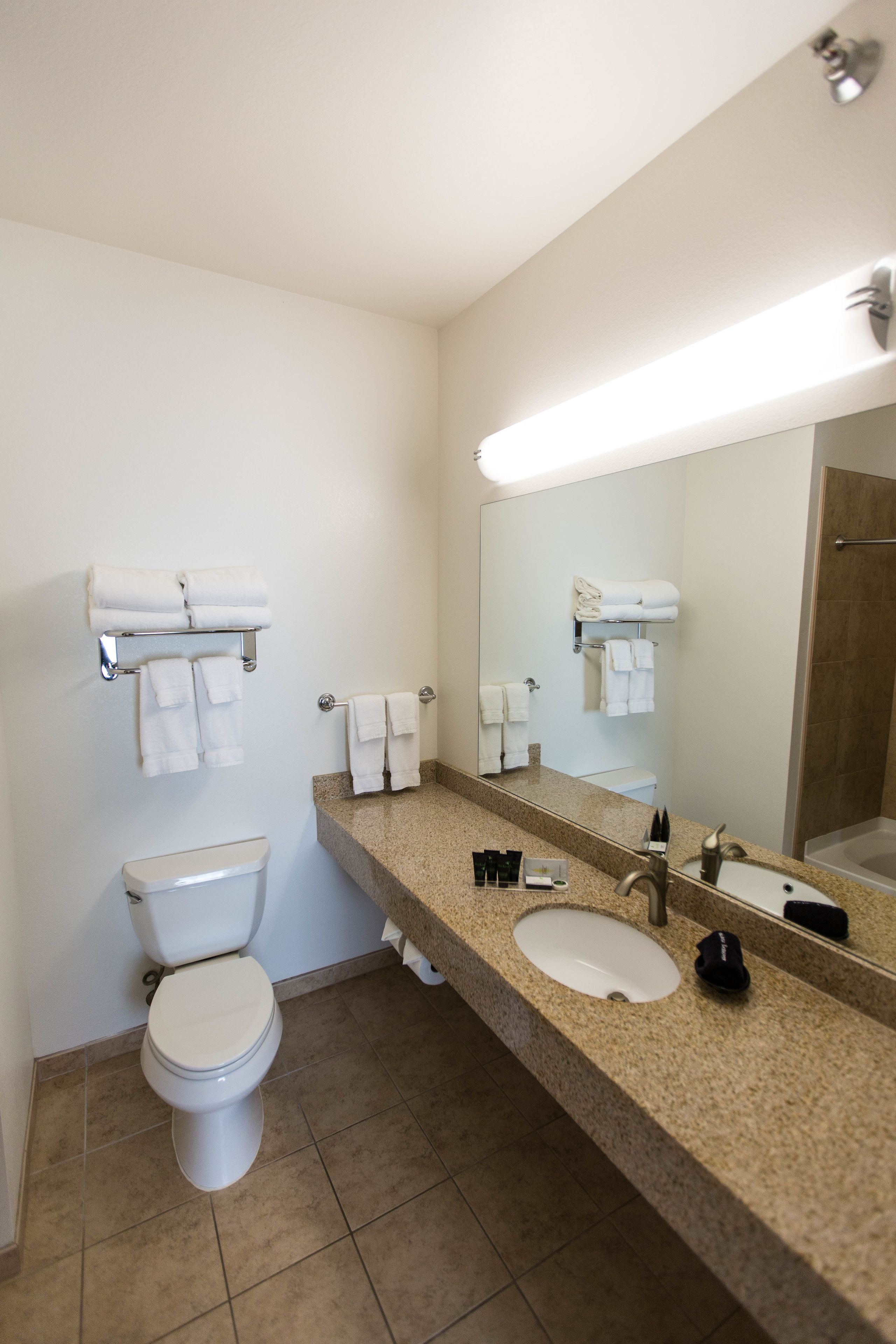 standard room, 1 king bed | 1 bedroom, premium bedding, pillow-top beds, in-room safe