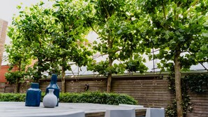 A table set outdoors with vases and a wooden fence in the background. - Hotel JL No76 (Amsterdam)
