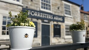 Twee potplanten met lieveheersbeestjes-decoraties op een balustrade voor een gebouw, met een bord waarop staat 