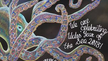A colorful octopus illustration with text celebrating Wales' Year of the Sea 2018 and the hashtag #FindYourSea.