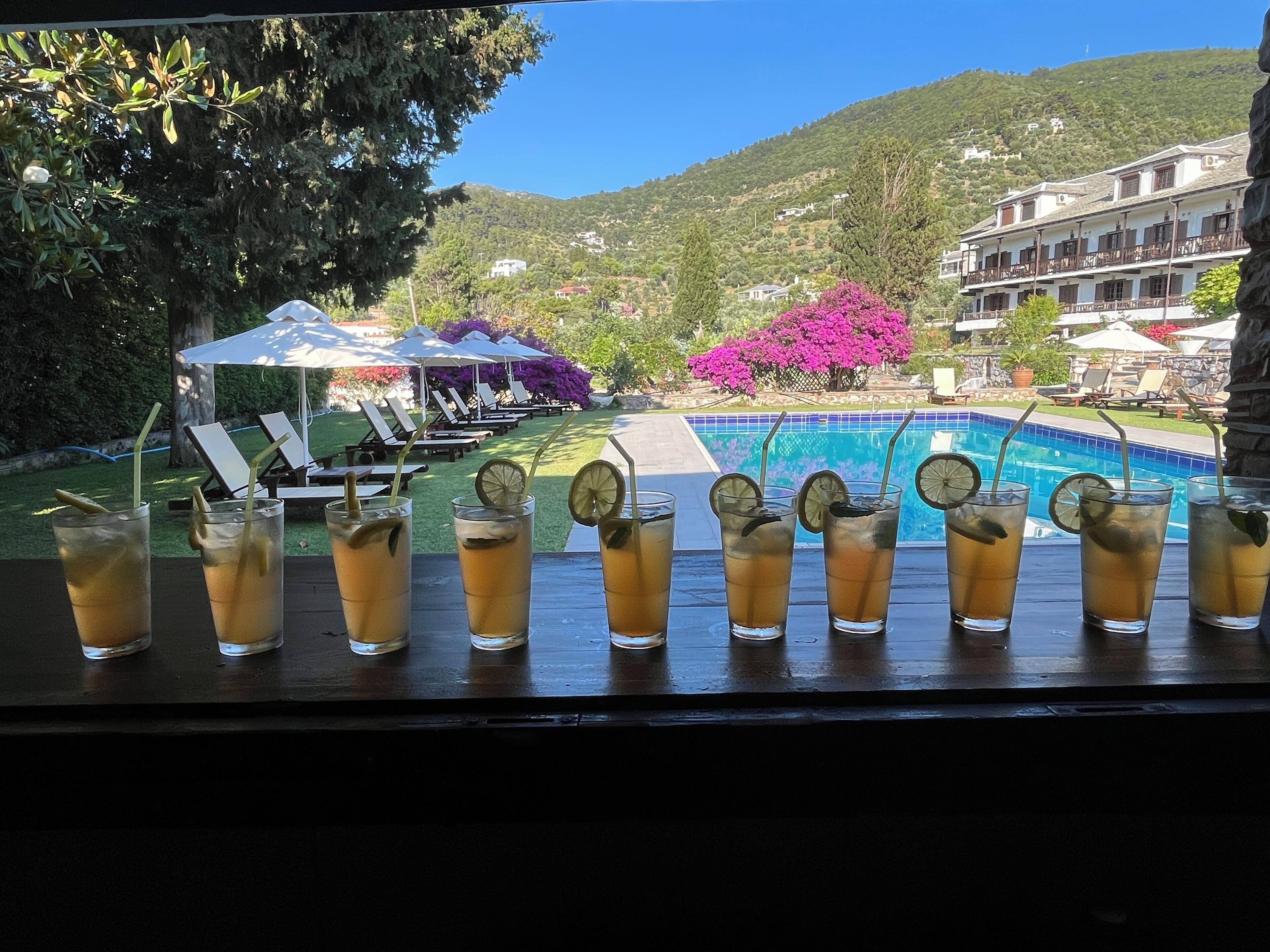 Vista de la piscina con sillas de descanso y vegetación, que domina una colina con edificios y árboles.