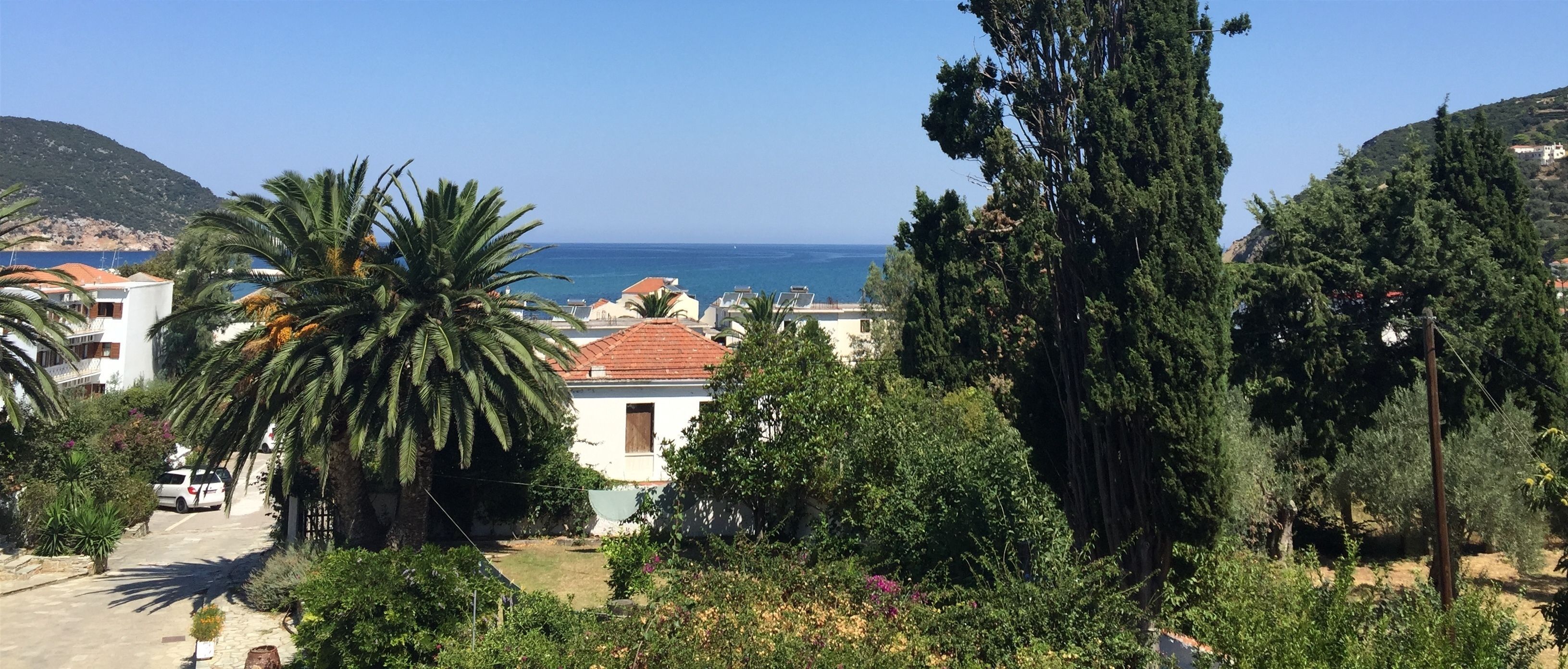 A coastal residential area with houses, palm trees, and a view of the sea.