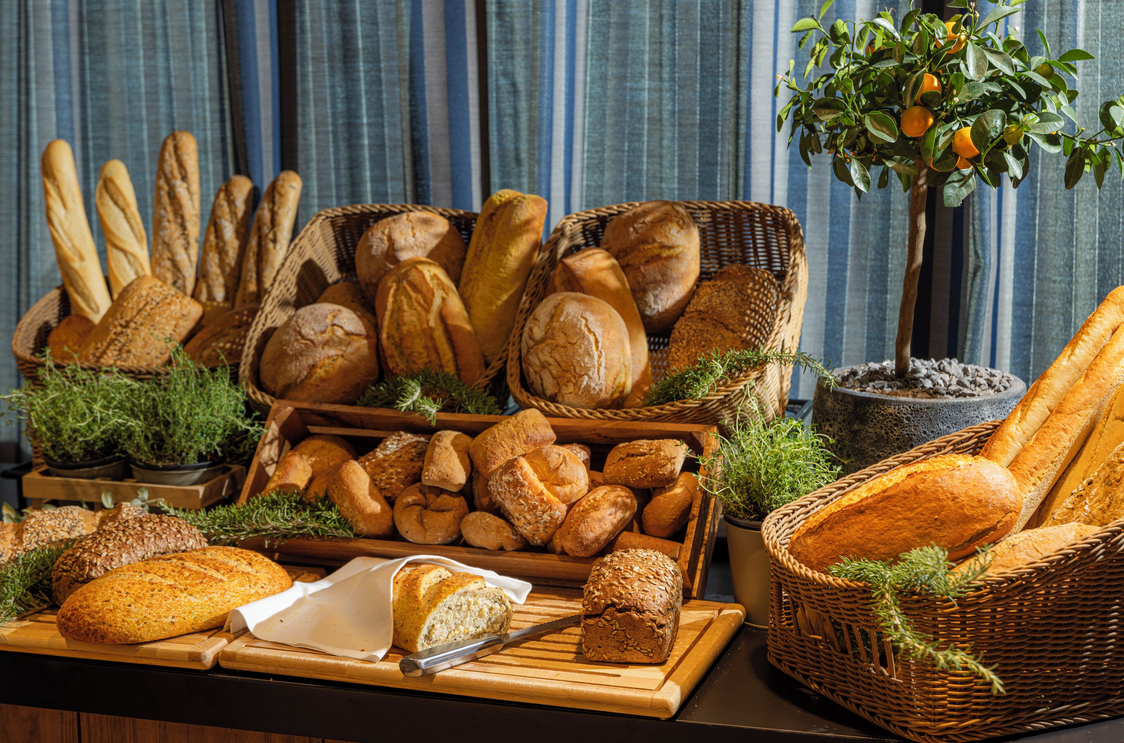 Variedad de panes y pasteles expuestos sobre una mesa de madera con cestas y una planta en maceta.