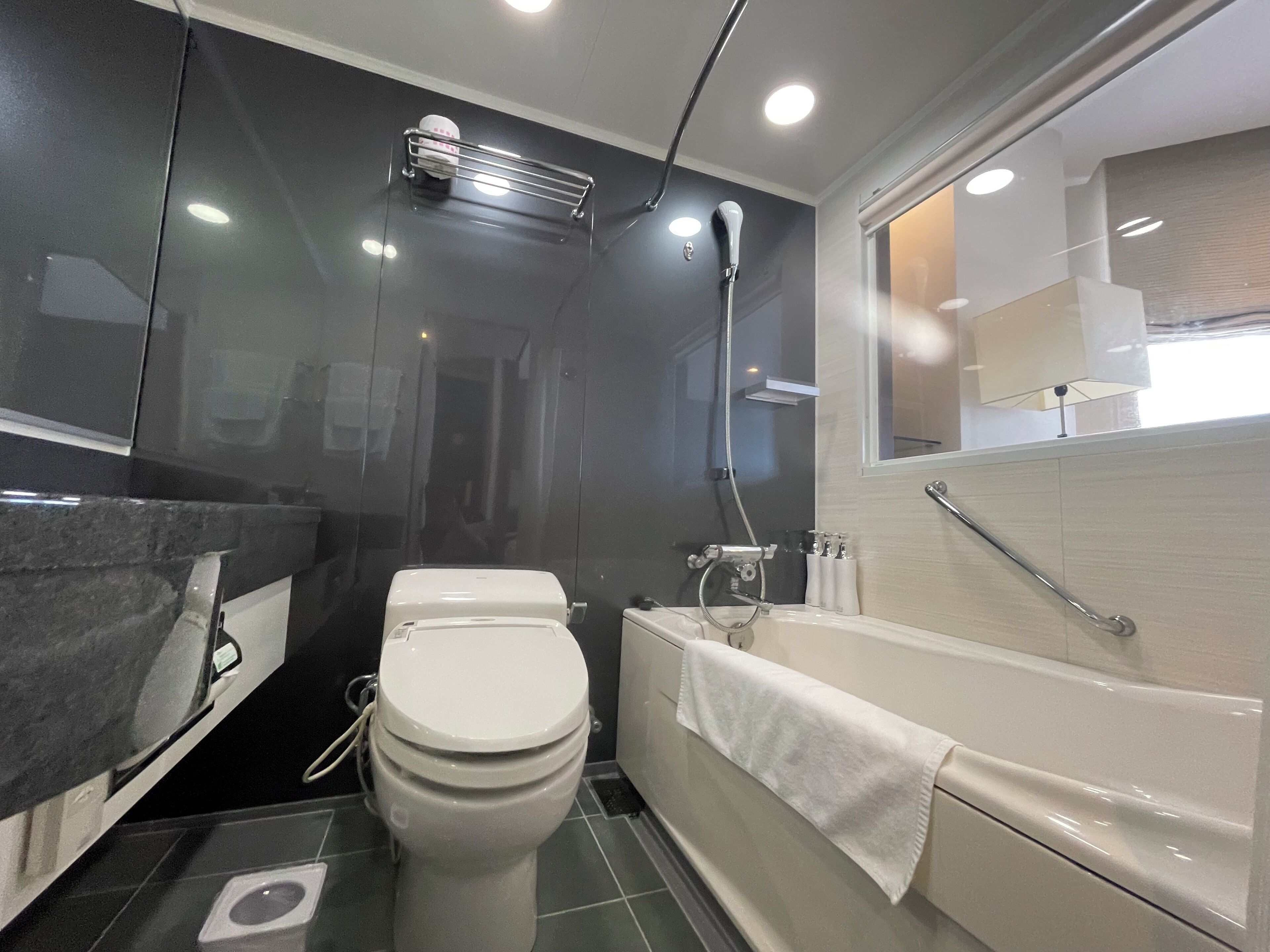 free toiletries, hair dryer, bathrobes, bidet