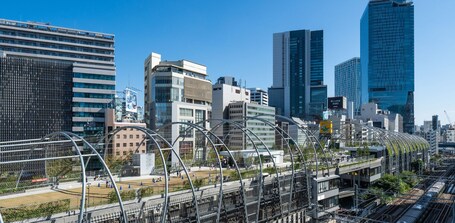 Tokyu Stay Gotanda - view 3