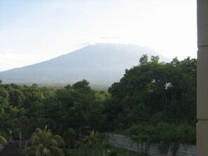 Vista desde la habitación