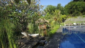 Piscina al aire libre