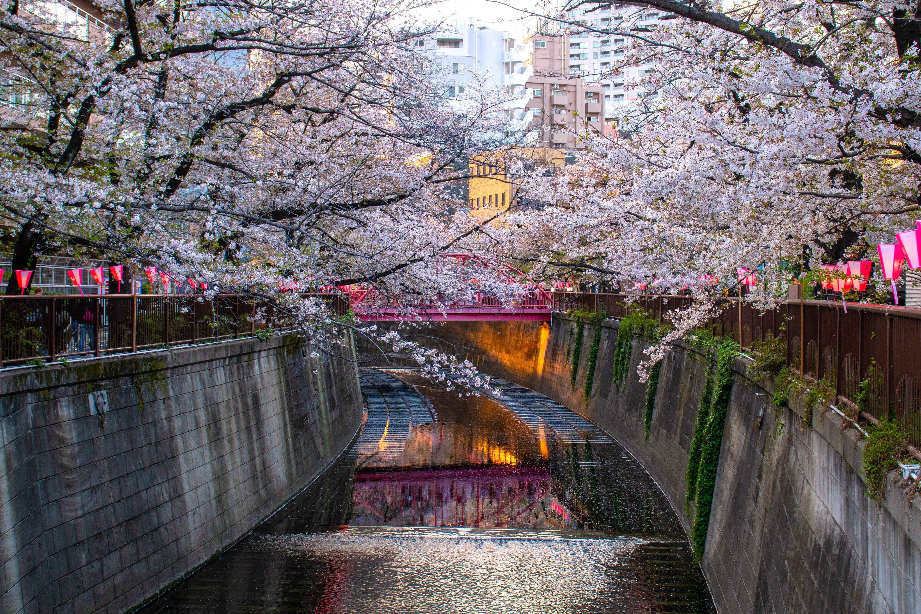 city view from property