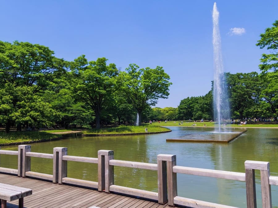 A park with a fountain, a wooden deck, and lush greenery.