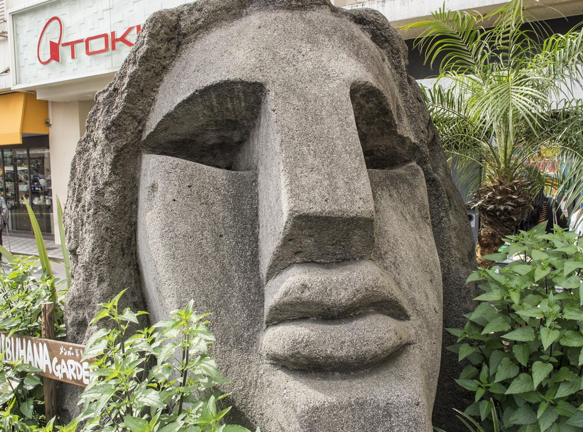 land view from property