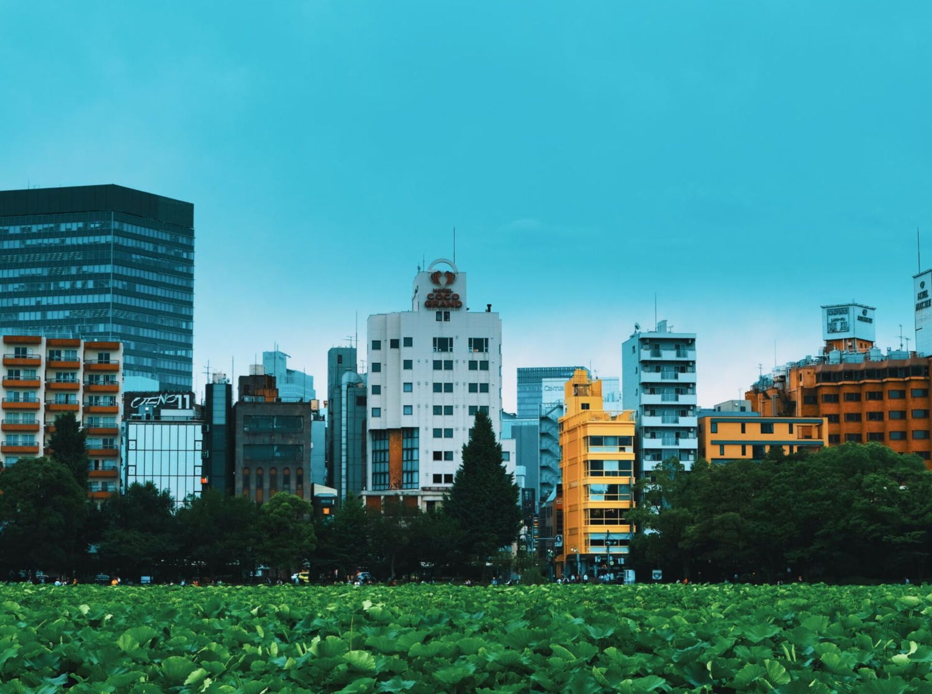 children’s play area – outdoor