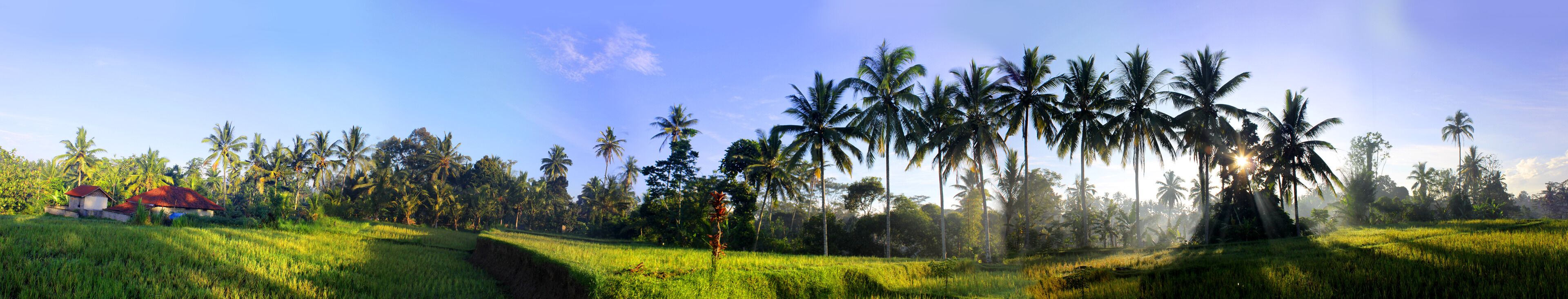 land view from property