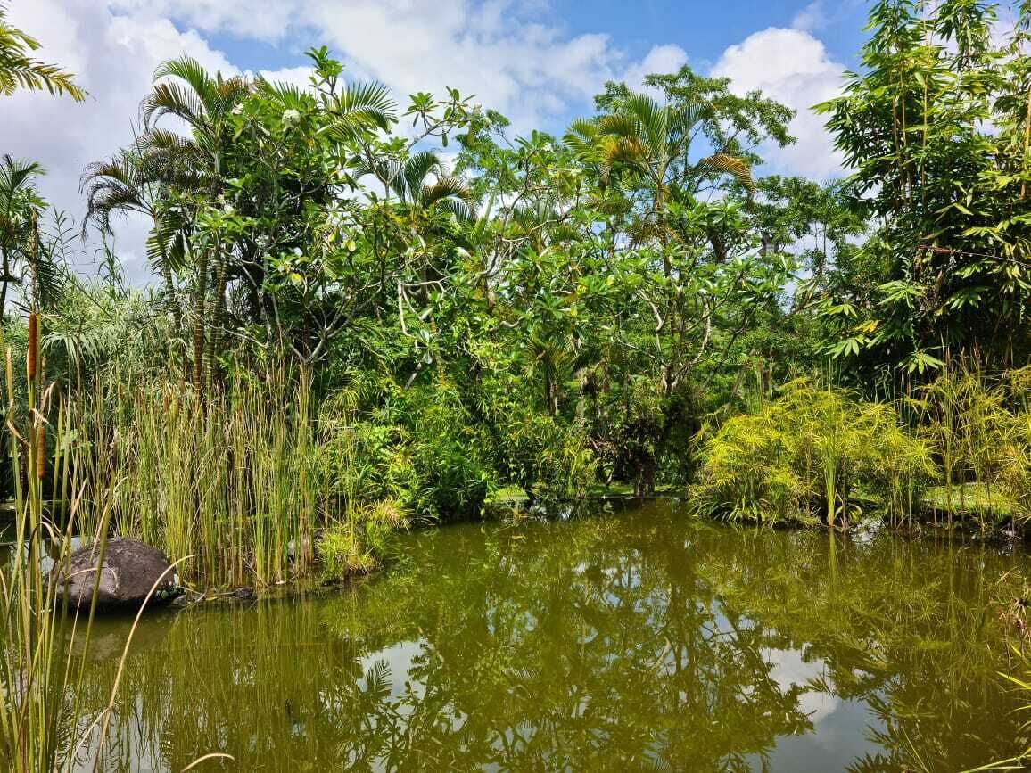 the nature suite | 1 bedroom, premium bedding, down duvets, minibar