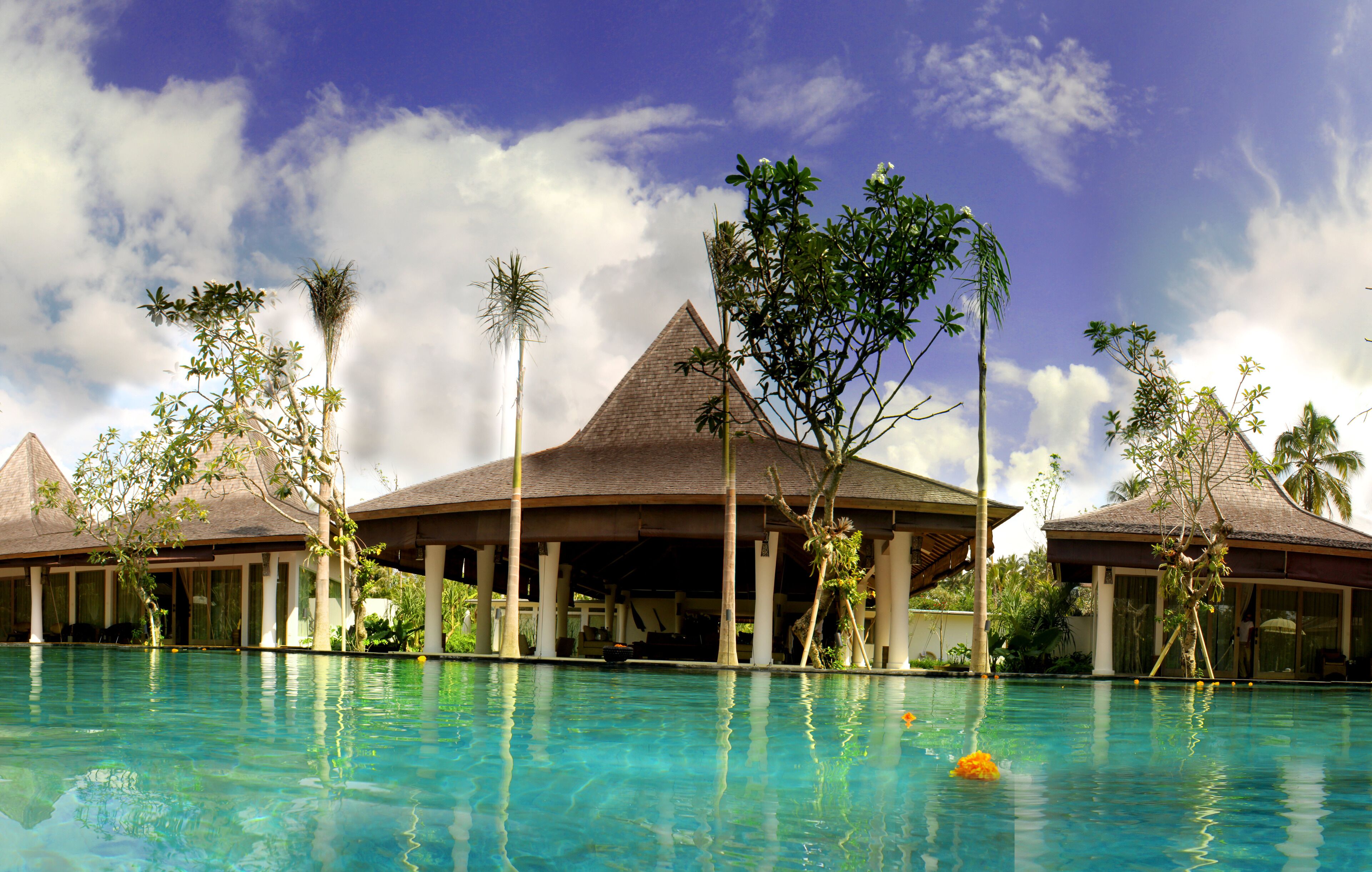 outdoor pool, pool umbrellas, pool loungers