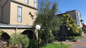 A hotel with a beige facade, two lizard murals, and a sign listing amenities like a mineral pool and heated swimming pool. - Ambassador Thermal Motel (Rotorua)