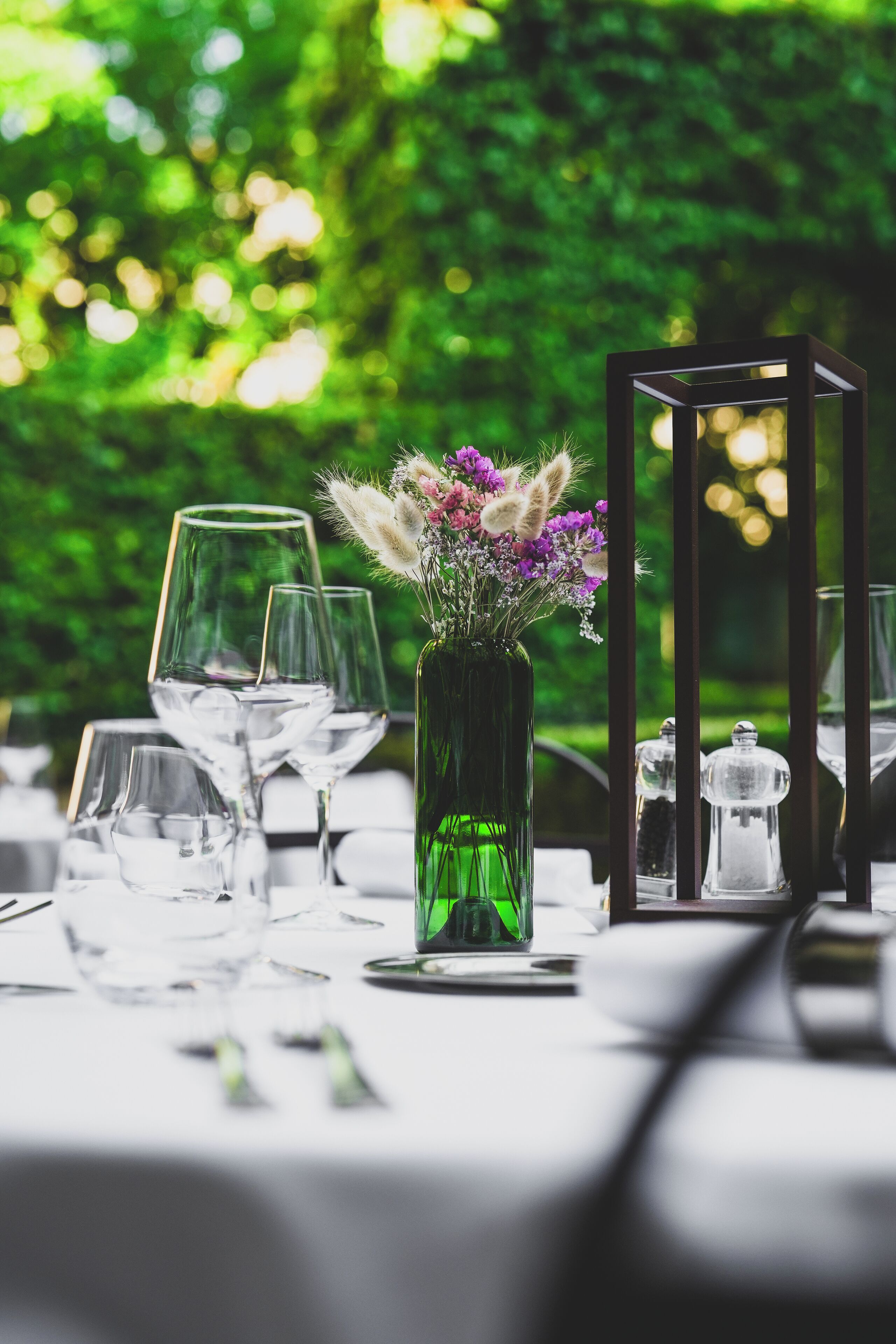 dinner served, french cuisine, garden views