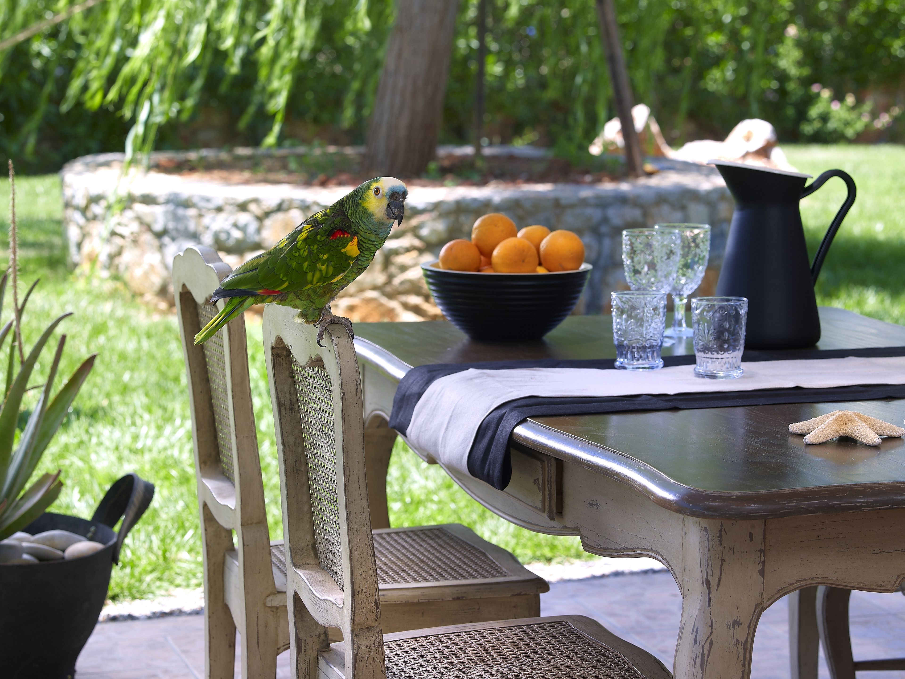 daily cooked-to-order breakfast for a fee