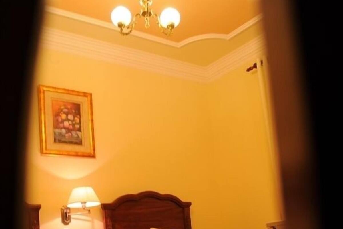 Habitación triple | Sábanas de algodón egipcio, ropa de cama de alta calidad y edredón 
