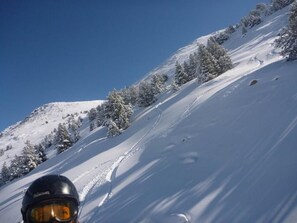 Snø- og skisport