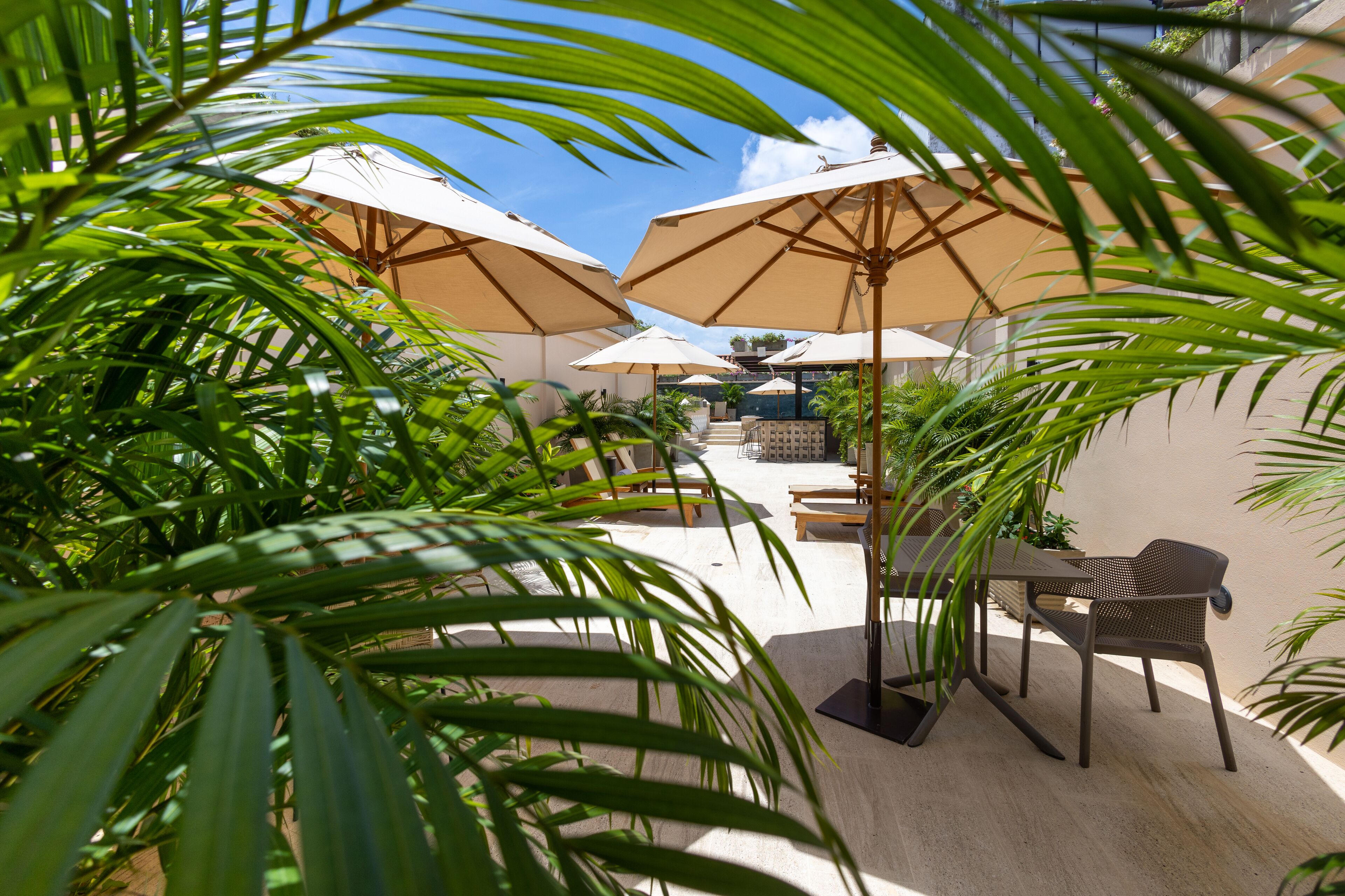 Foto - Hotel Casa Canabal by Faranda Boutique