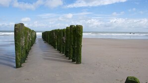 A beach with a row of vertical wooden posts covered in green moss. - Auberge St. Pol (Knokke-Heist)