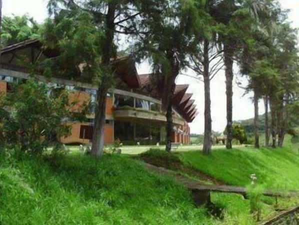 Un edificio moderno con un diseño arquitectónico único, rodeado de exuberante vegetación y árboles.