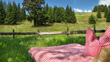 A bed with a checkered blanket and pillows, set against a backdrop of a grassy field and trees.