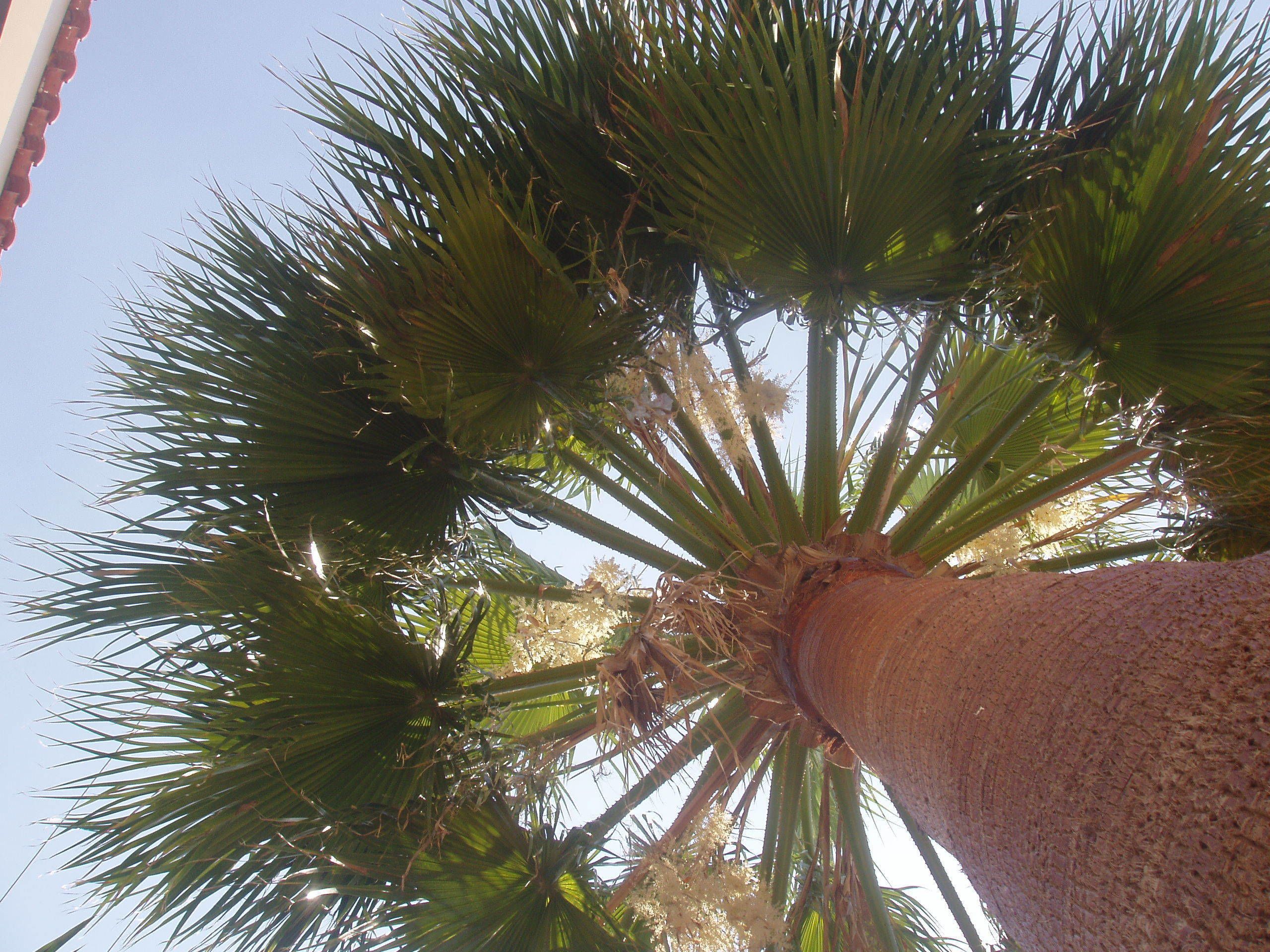 Photo - Paradise Apartments