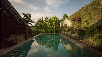 Surrounded by lush greenery and architectural elements, this serene pool area offers a tranquil atmosphere.