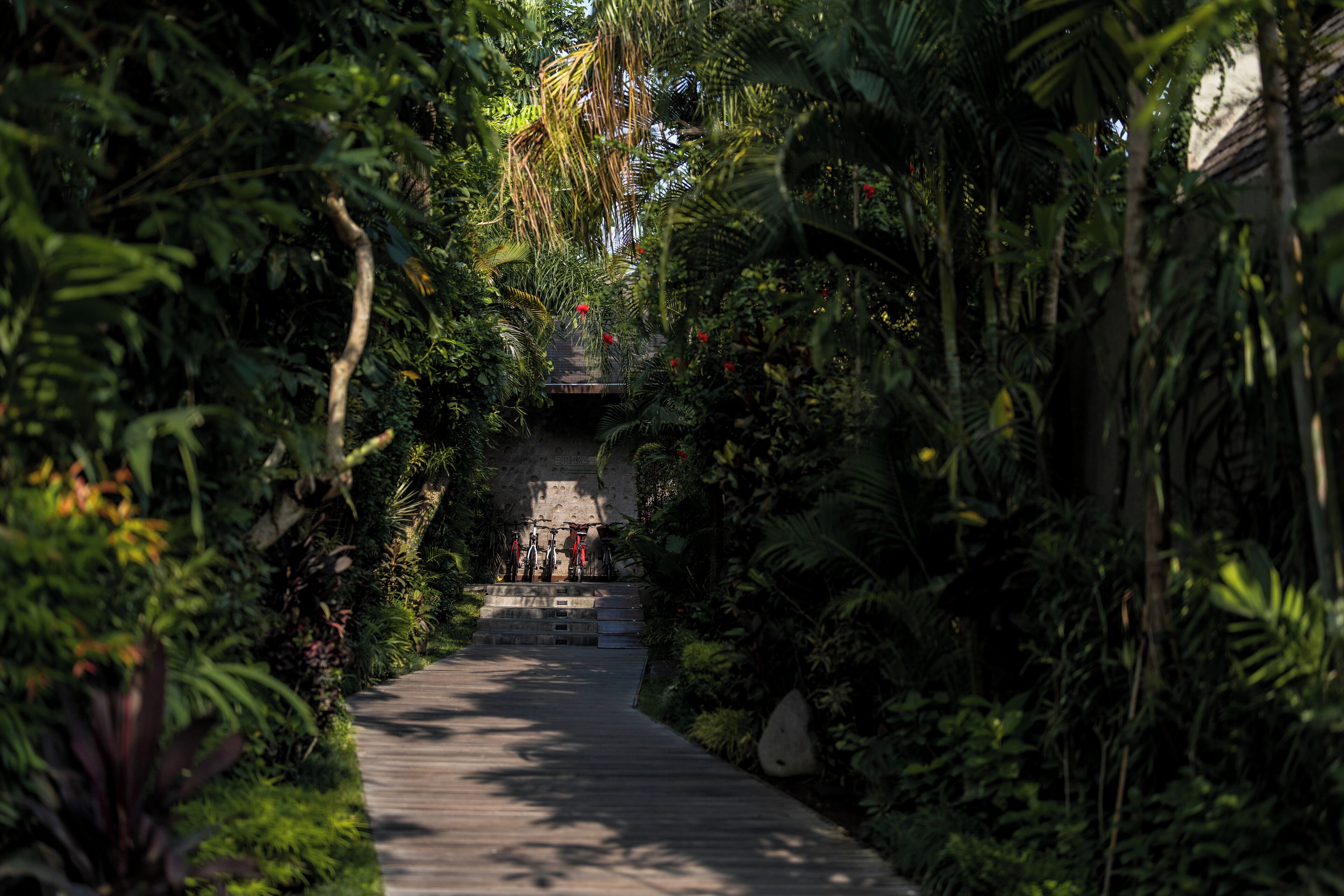 A pathway surrounded by dense tropical foliage leading to a building with steps.