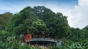 A bridge connecting a building to a lush, forested hillside. - Memory Karon Resort (Karon)