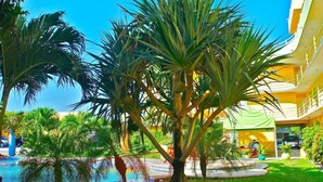 Um pátio com palmeiras, piscina e um edifício de fachada amarela.