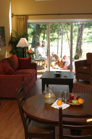 TV, fireplace, DVD player