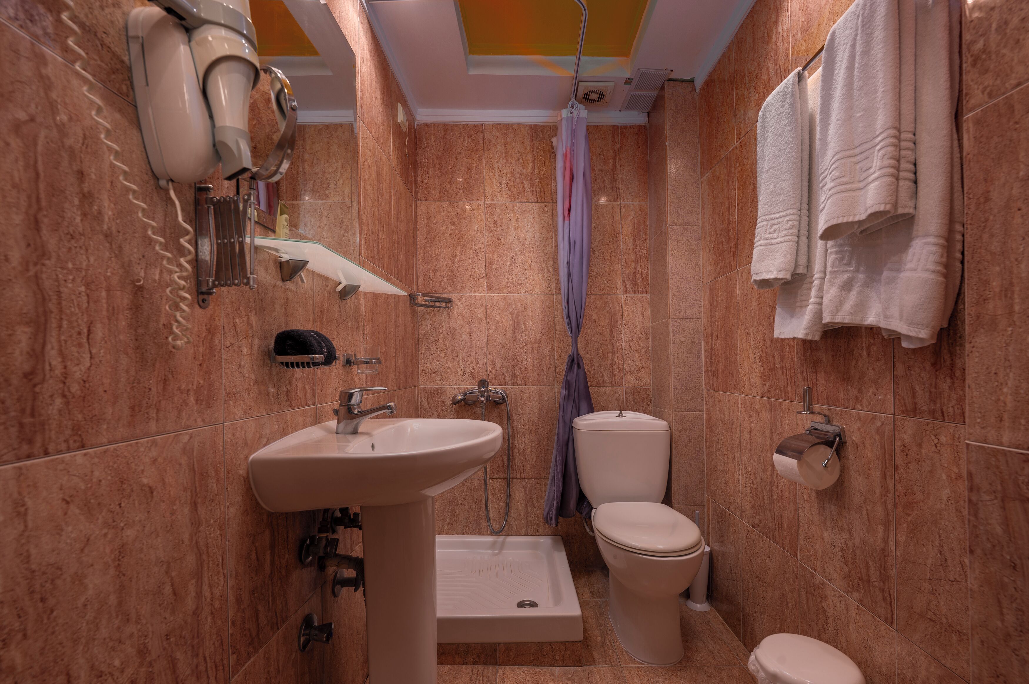 Een badkamer met een wastafel, toilet, douche en handdoekhouder.