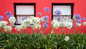 A red building with two windows and a garden with white and purple flowers in front. - ibis Lisboa Sintra (Sintra)