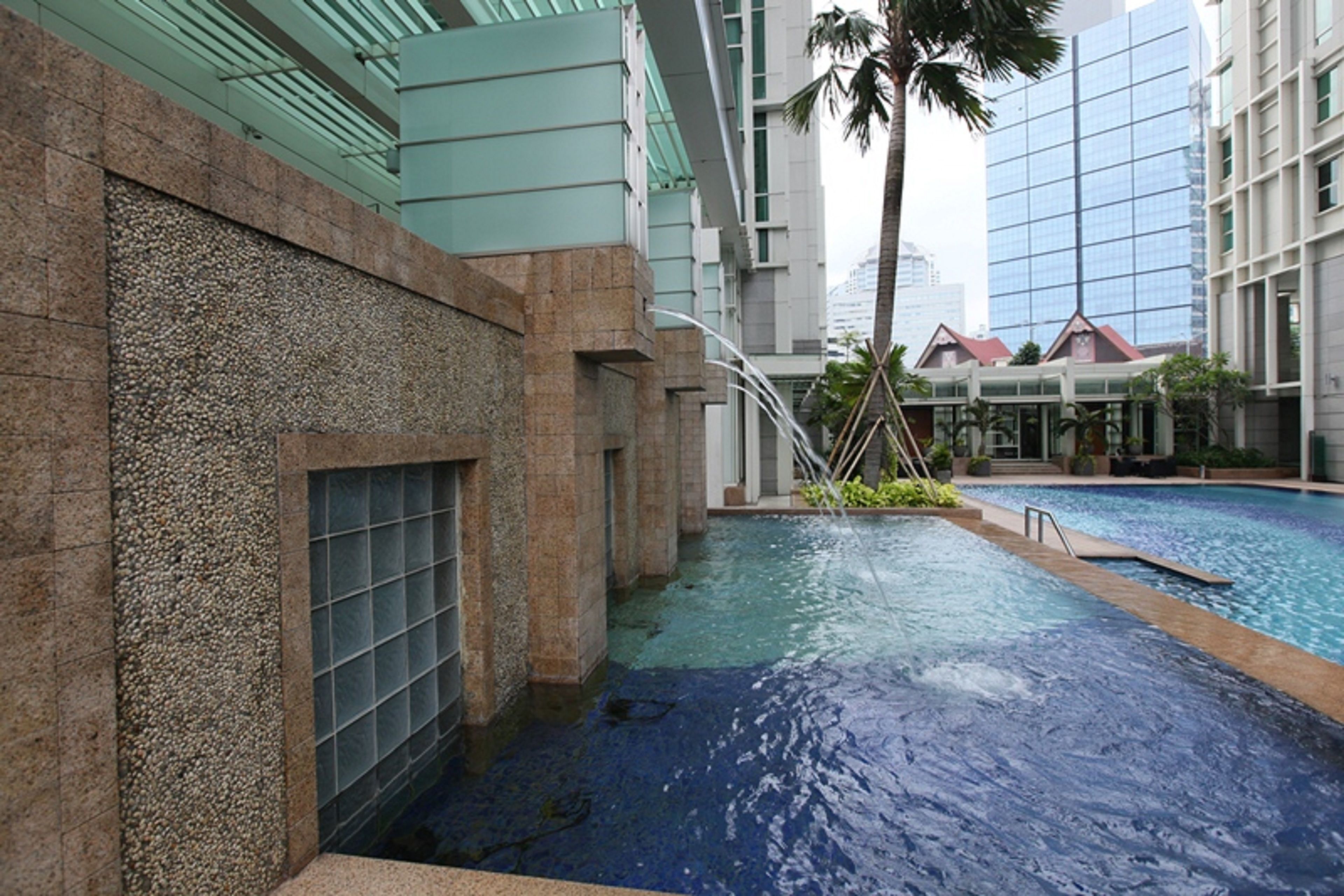 An indoor swimming pool with a pebble-textured wall, a palm tree, and modern buildings in the background.