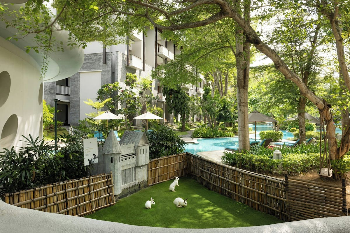 A courtyard with a pool, bamboo fence, and three white rabbits.