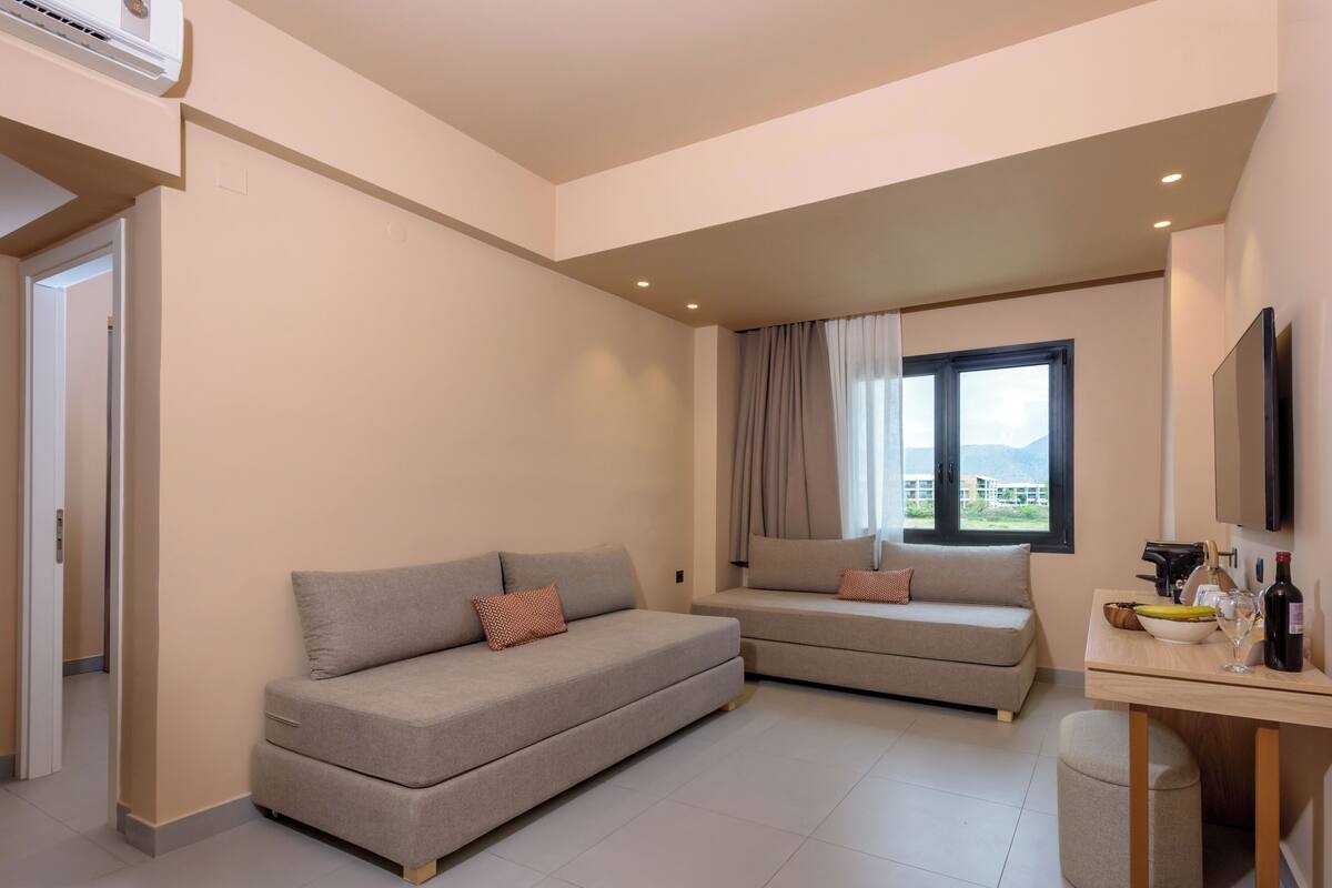 A modern living room with two sofas, a dining table, and a TV.