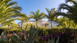 A building surrounded by palm trees and purple flowers.