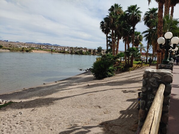 A sandy riverside walkway with palm trees and a stone railing.