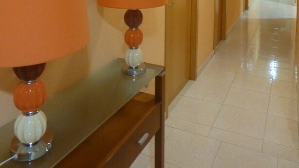 Un pasillo con una lámpara, una puerta y una planta en maceta.