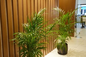  LCD 液晶電視